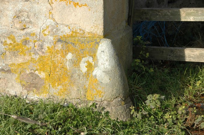 Chasse roue - Chateau de Curtil-sous-Buffières